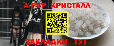 индика Дубна