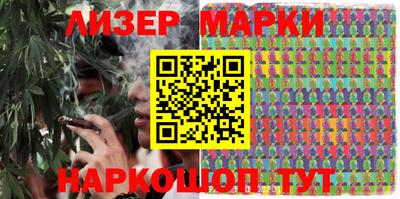 индика Дубна