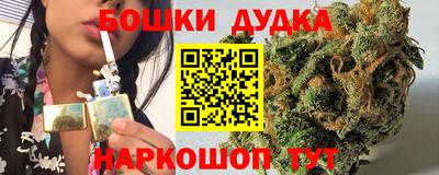 индика Дубна