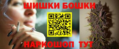 индика Дубна