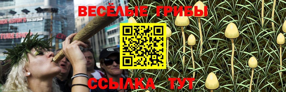Галлюциногенные грибы GOLDEN TEACHER Минеральные Воды
