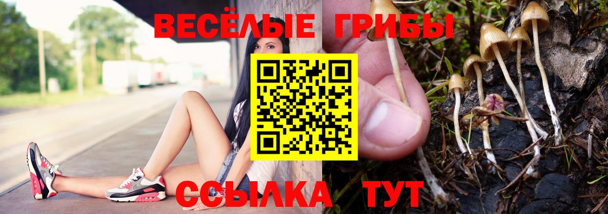 Минеральные Воды  Галлюциногенные грибы прущие грибы  Вход с VPN 